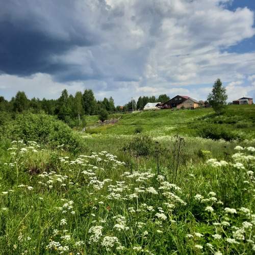 Фотография #10295666