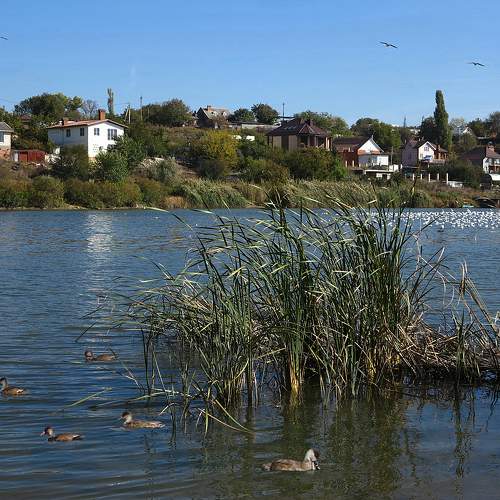 Photo #10295678