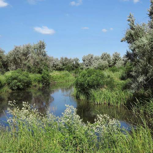 Photo #10295685