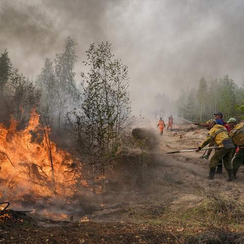 Фотография #10295804