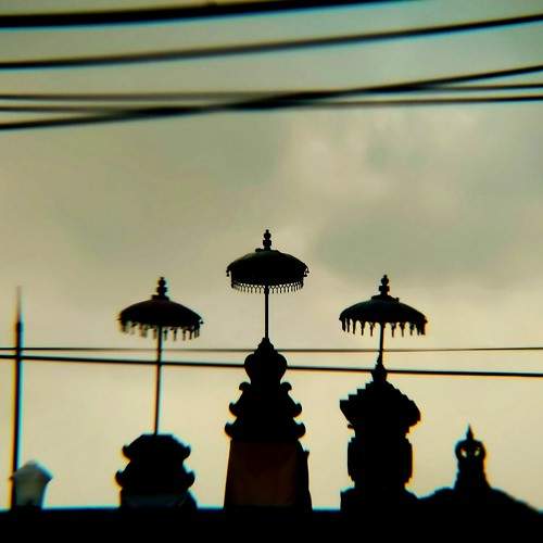 Photo #10295857