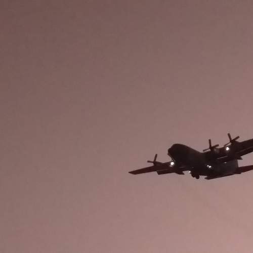 Photo #10295891