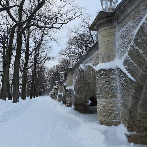 Photo #10296093