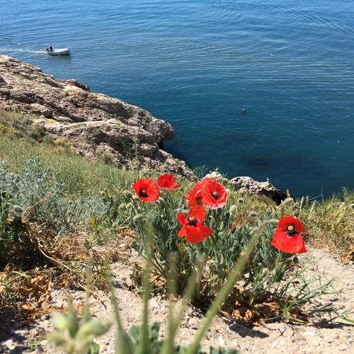 Photo #10296276