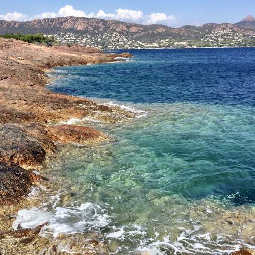 Photo #10296533