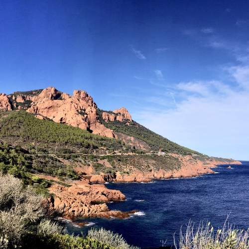 Photo #10296535