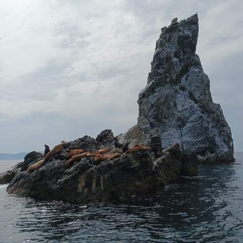Photo #10296566