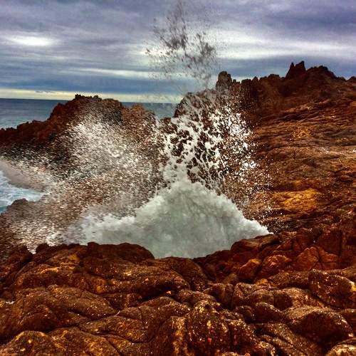 Photo #10296605