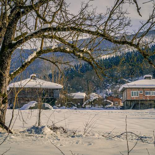 Photo #10296642