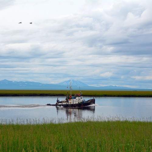 Photo #10296680