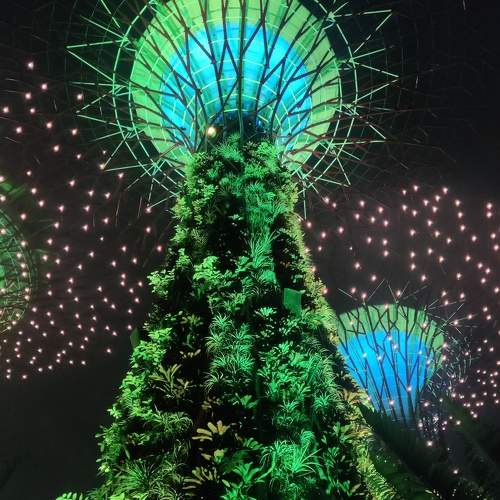 Photo #10296737