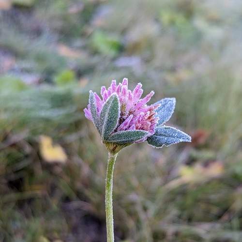 Photo #10296919