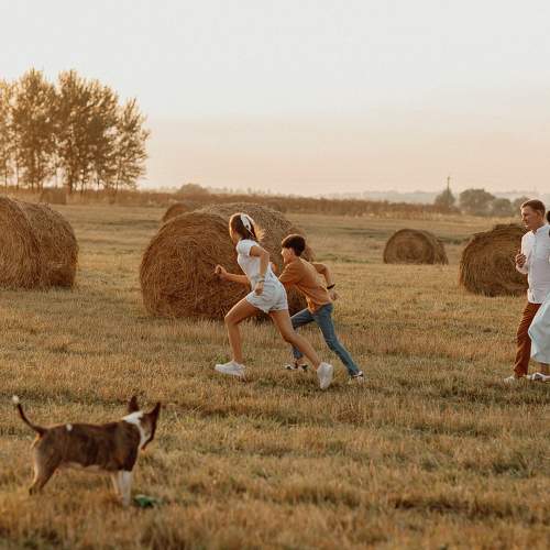 Photo #10297095