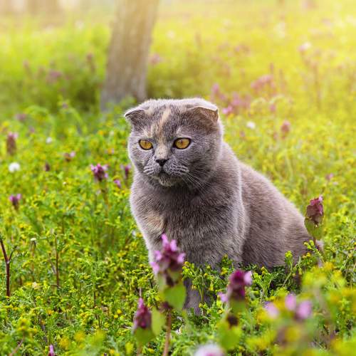 Photo #10297309