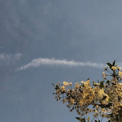 Photo #10297471