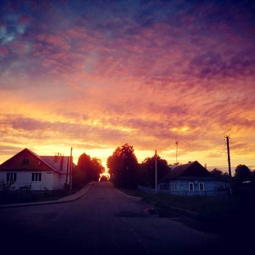 Photo #10297506