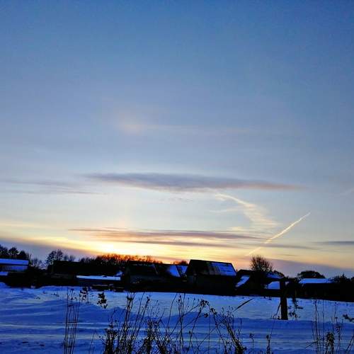 Photo #10297507