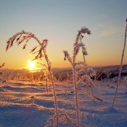 Photo #10297830
