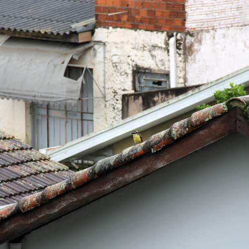 Photo #10298315