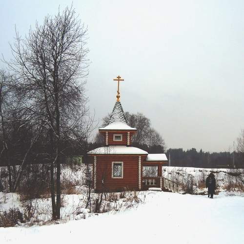 Photo #10298698