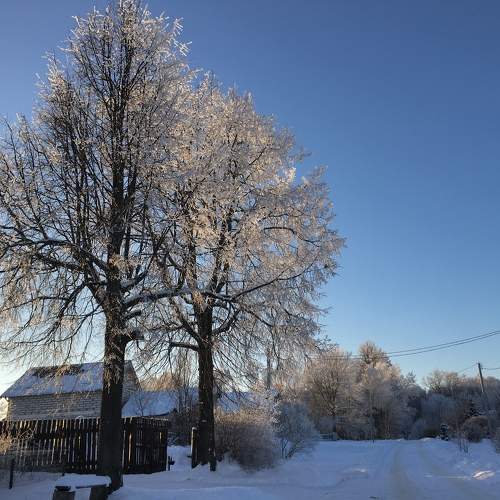 Photo #10299015