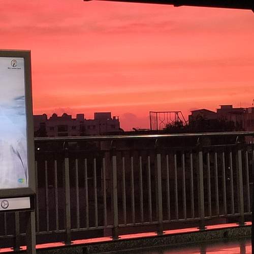 Photo #10299192