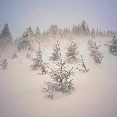 Photo #10299398