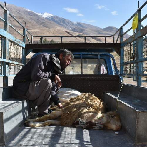Photo #10299422