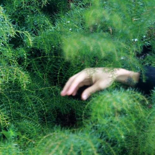 Photo #10299811