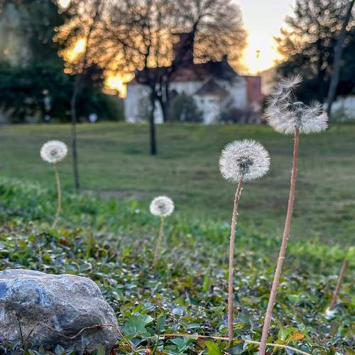 Photo #10299962