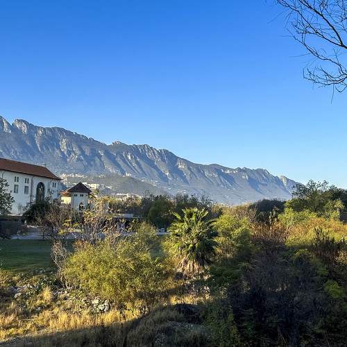 Photo #10299964