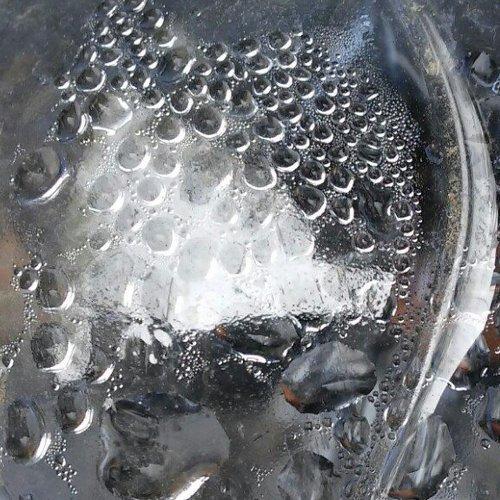 Photo #1030835