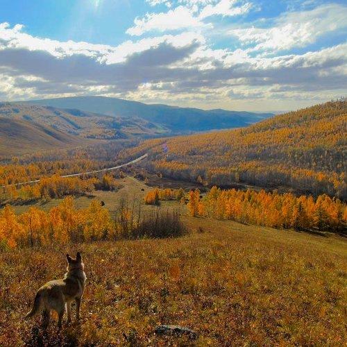 Осень. Пуринский хребет