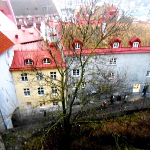 Photo #1033990