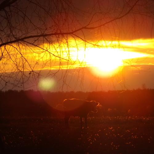 Photo #1034856