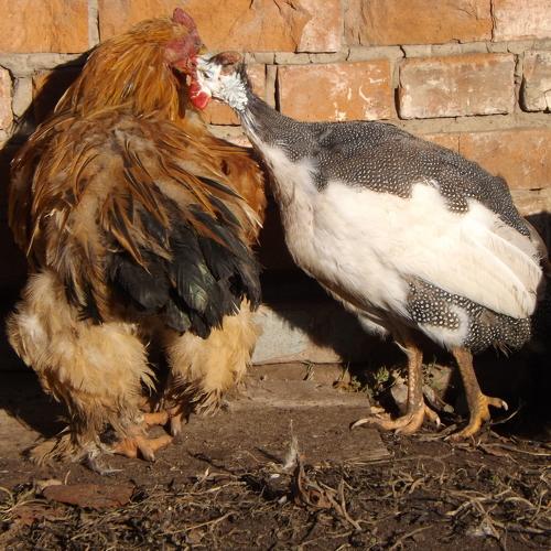Photo #1034857