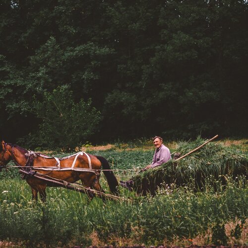 Photo #1034953