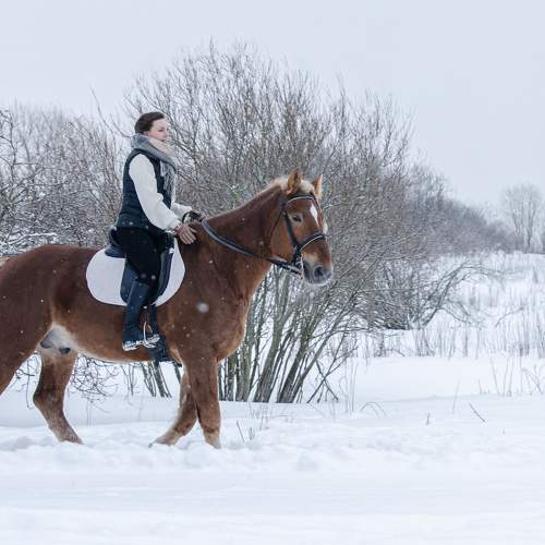 Photo #10300182