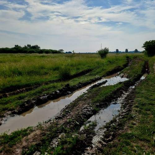 Photo #10300933