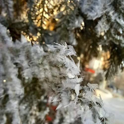 Photo #10300995