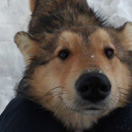 Photo #10301068