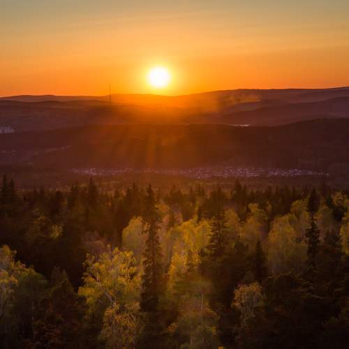 Photo #10301294