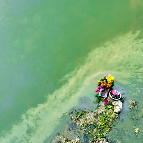 Photo #10301671