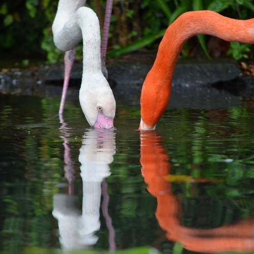 Photo #10302281