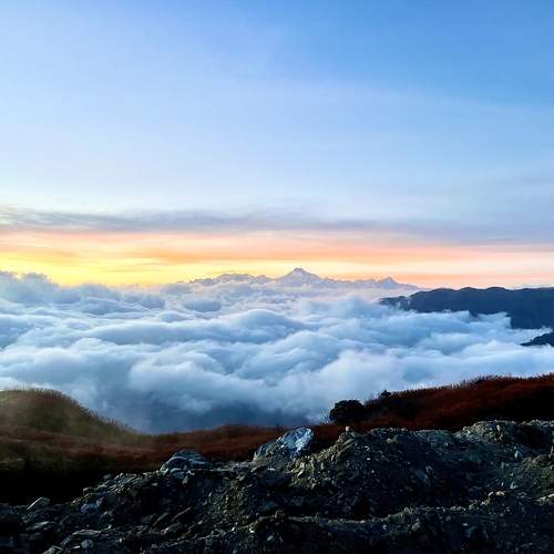 Photo #10302319