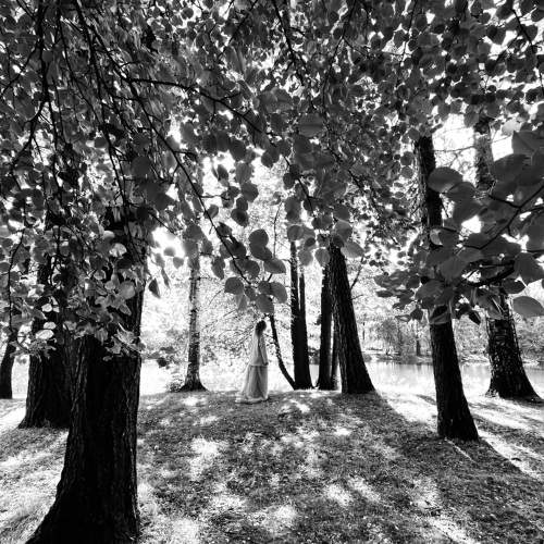 Photo #10302452