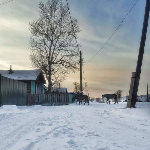 Photo #10302519