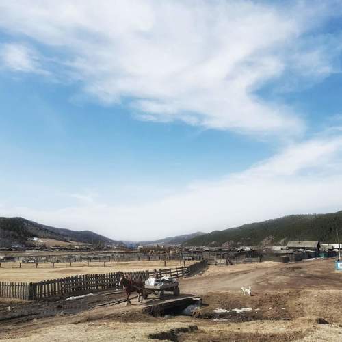 Photo #10302520