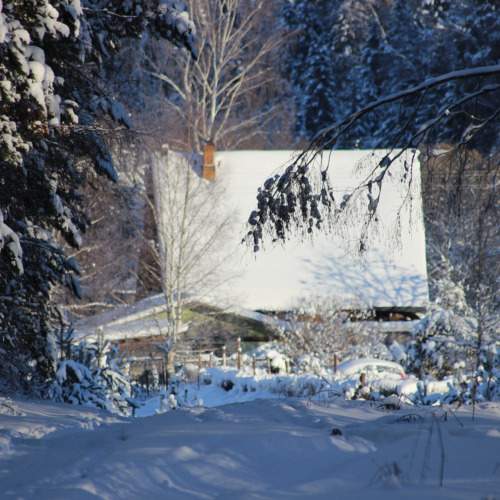 Photo #10302827