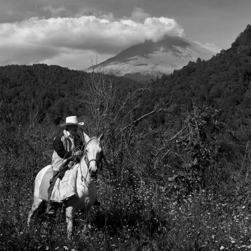 Фотография #10302906